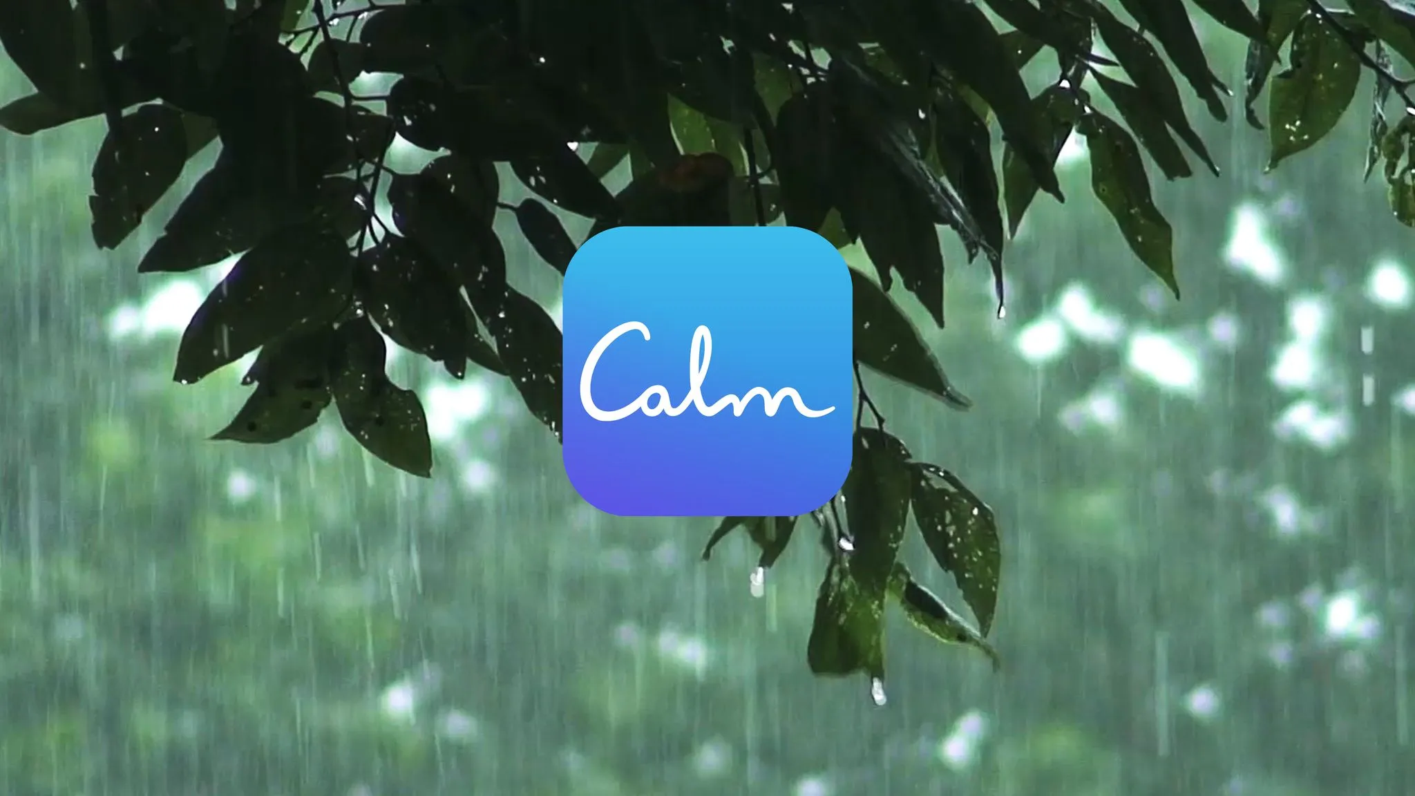 خرید اشتراک پریمیوم اپلیکیشن Calm