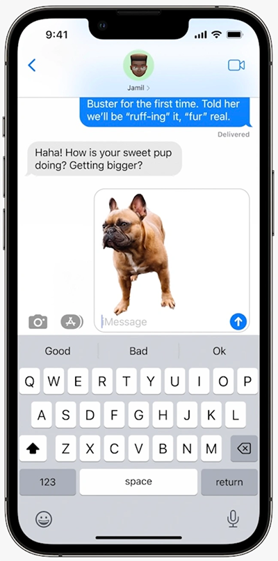 نمایی از استخراج تصویر یک سگ و ارسال از طریق iMessage در iOS 16