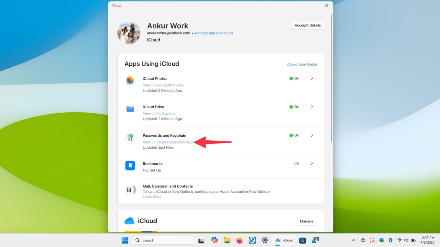 کلیک روی گزینه View in iCloud Passwords در رایانه ویندوزی