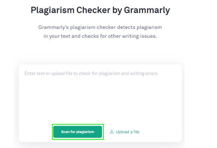 دقت Grammarly