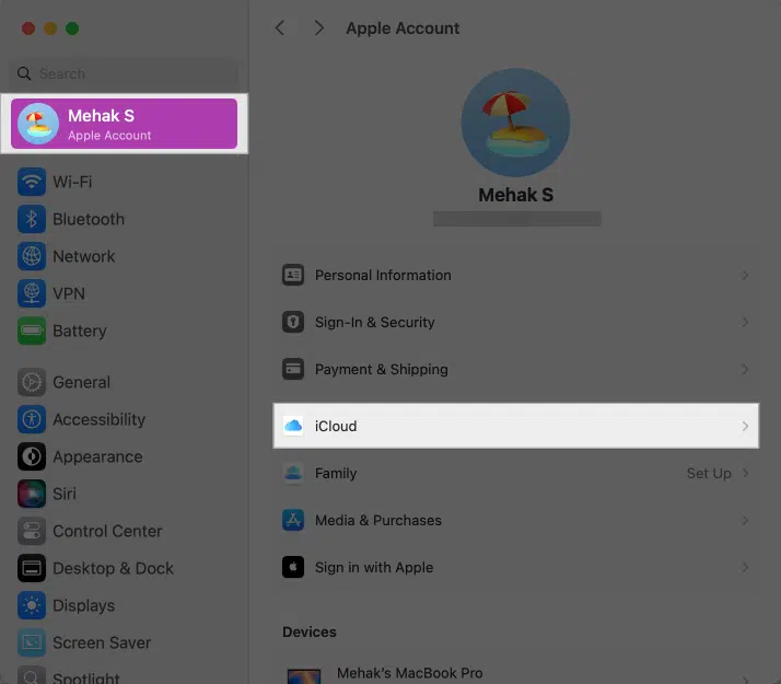 کلیک روی iCloud در برنامه تنظیمات روی مک